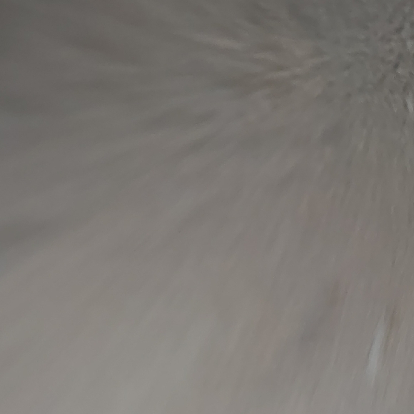 Pet Expandable Backpack Carrier with Mesh Window For Cat Or Small Dog - Picture 5 of 6